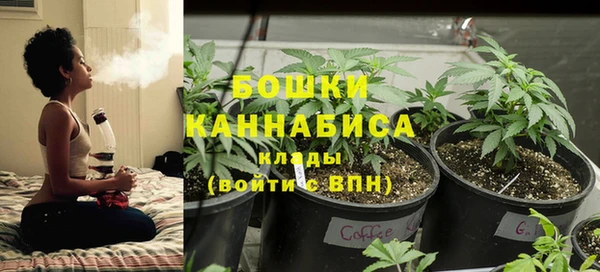 амф Болохово